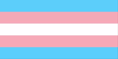 Transgenger - Monica Helms - 1999 Transgender flag with 5 stripes: light blue, pink, white, pink and blue.